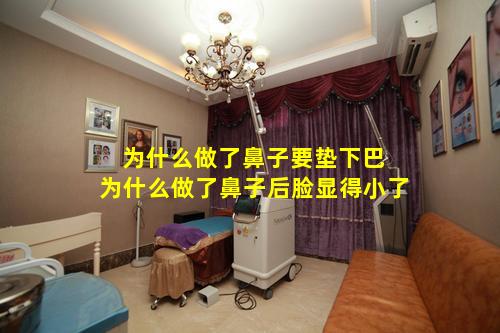 为什么做了鼻子要垫下巴 为什么做了鼻子后脸显得小了